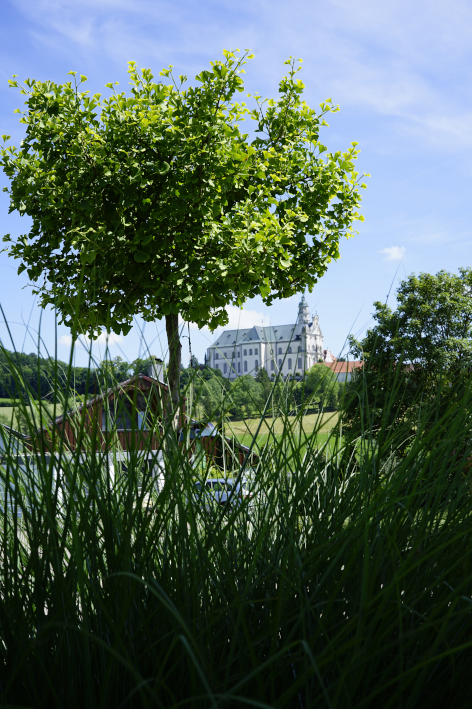 Neresheim Ferienwohnung Waldmariechen Neresheim